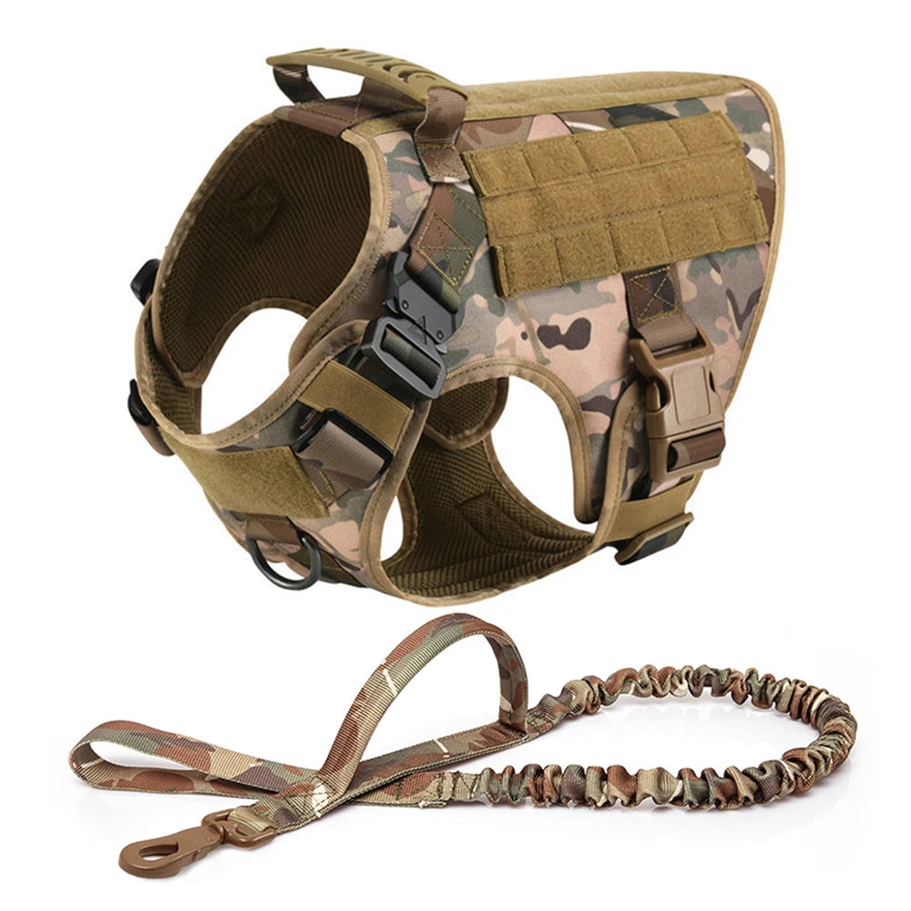 Large Dog Harness & Leash Set for Training