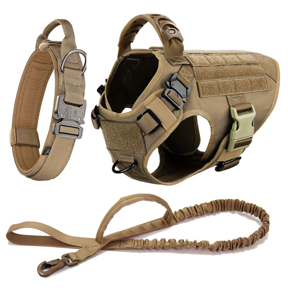 Large Dog Harness & Leash Set for Training