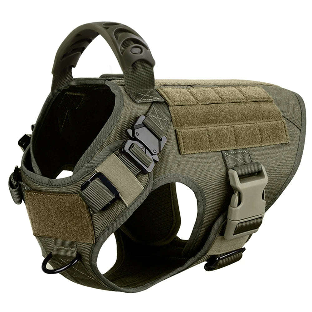 Large Dog Harness & Leash Set for Training