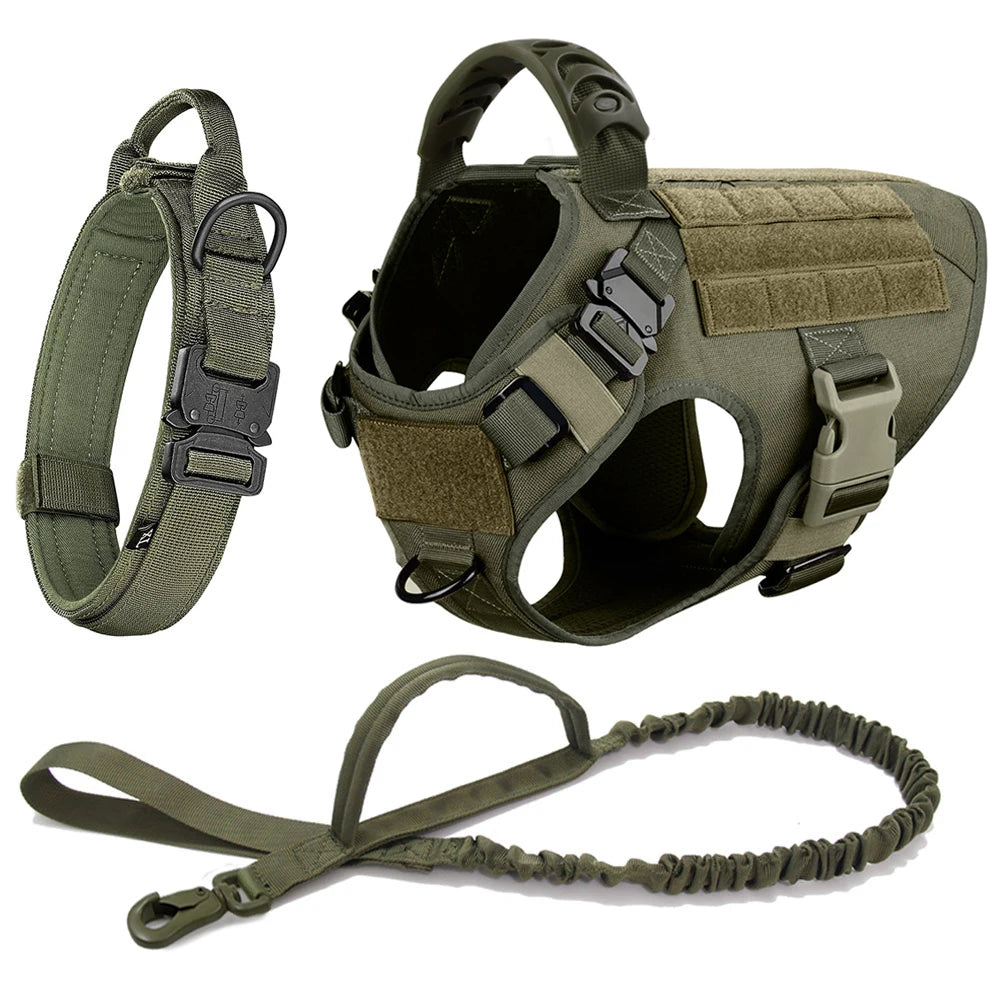 Large Dog Harness & Leash Set for Training