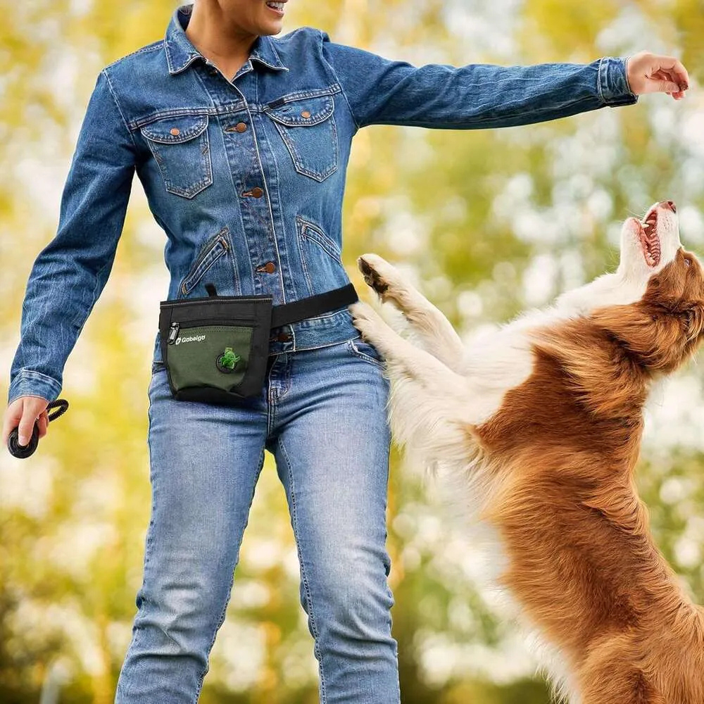 Pet Training Supplies