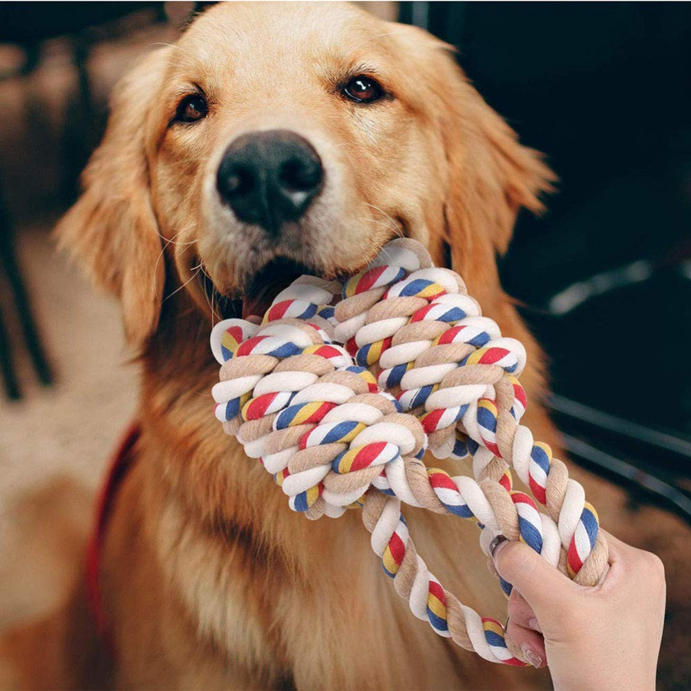 Pet Toys